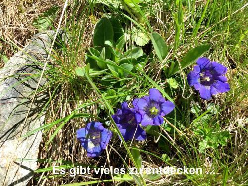 Apartamento Firnblick 42