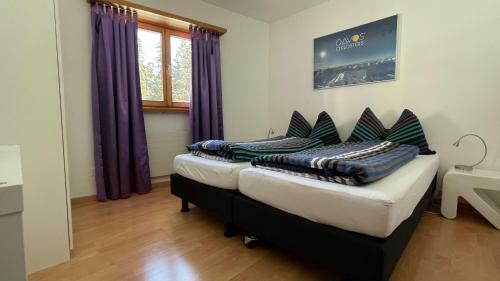 Apartamentos Alberti 5