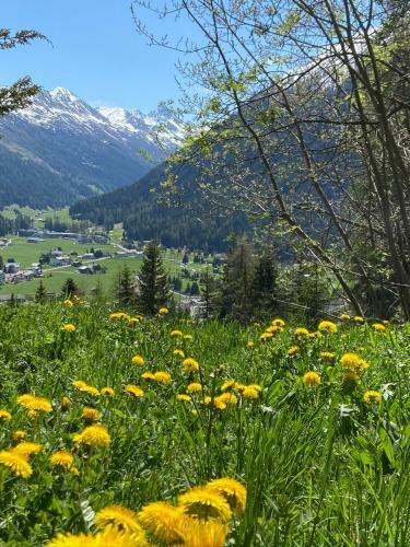 Apartamento Ferienwohnung Sunneschii