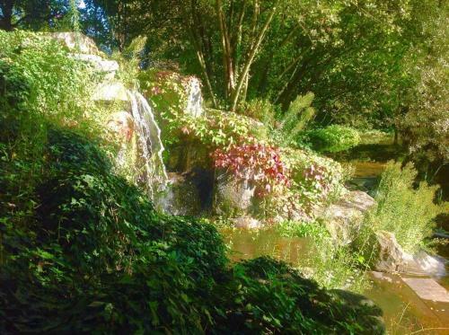 Hotel Paradiso Park