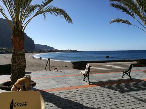 Hostal Apartamentos Playamar