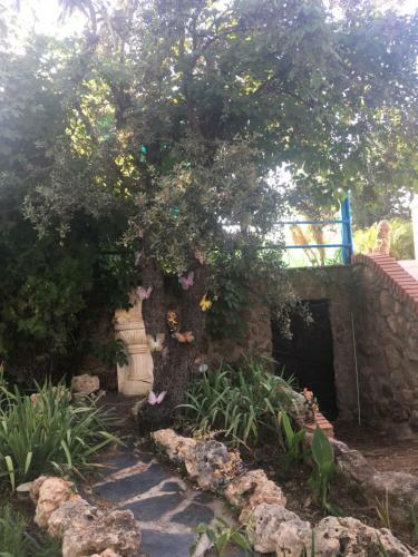 Agroturismo Casa Rural En Las Nieves