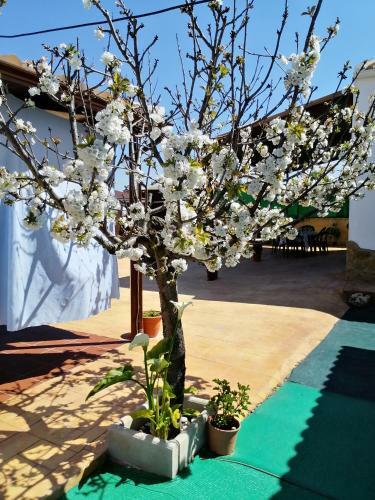Agroturismo Conjunto Rural Andrea