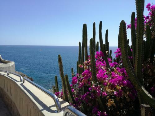 Apartamento Apt With Sea View And Large Swimming Pool