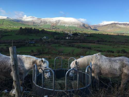 Bed & Breakfast Teac Seain Bnb.