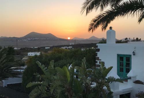Casa Lisboa, Auf Der Finca Mimosa