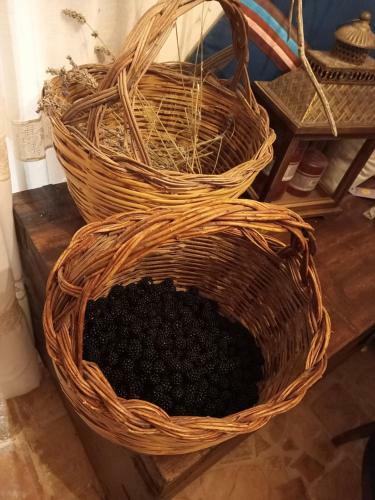 Bed & Breakfast La Casa Dalle Finestre Blu