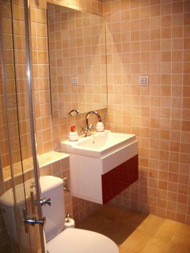 Amplio Apartamento En Canfranc Pueblo