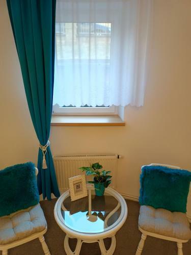 Apartamento Ubytov�n� Na Goethovce-apartm�n