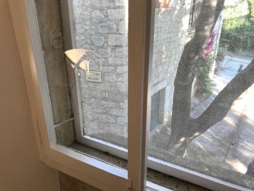 Apartament Ros