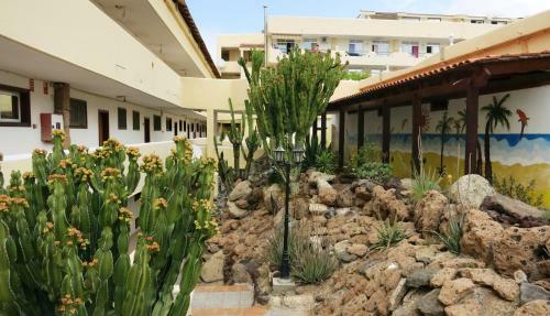 Holiday Apartment Paraiso