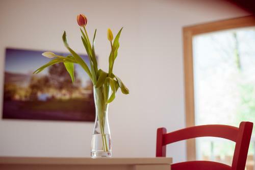 Bed & Breakfast G�stehaus Mittagsspitze