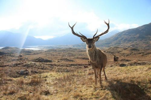 Glencroft A Fairytale Highland Cottage