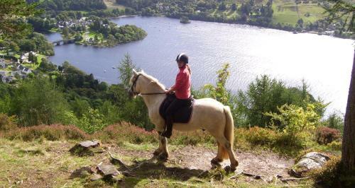 Glencroft A Fairytale Highland Cottage