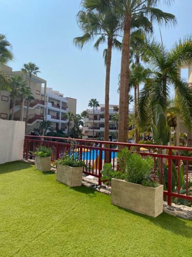 Apartamento Ruise�or En Palm-mar