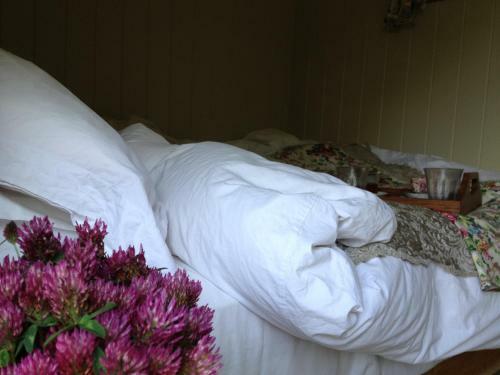 Bed & Breakfast Shepherds Rest Bruton
