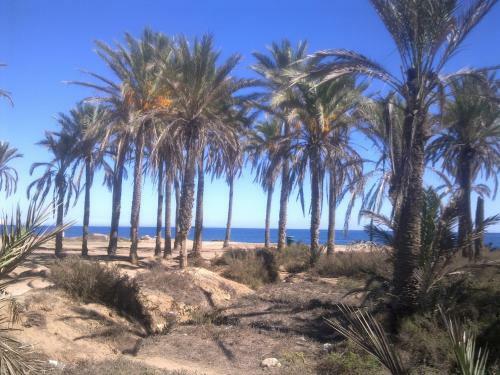 Apartament Margarita Cabo Roig "ozonizado"