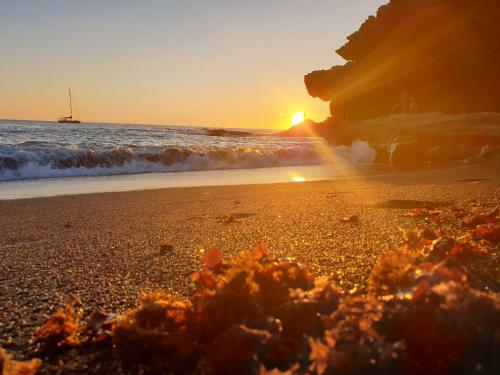 Apartamento Ajuy Tortuga House