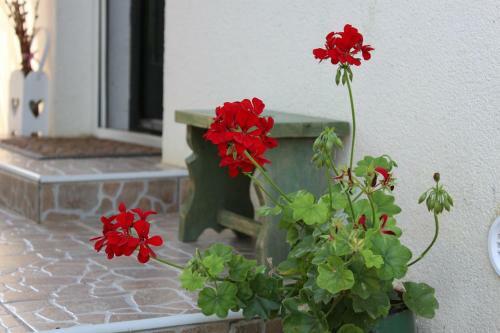 Apartamento Patr�cia Pihen?h�z