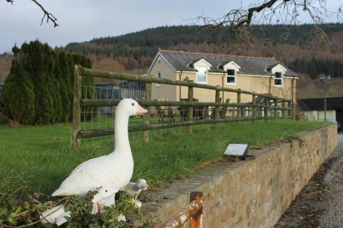 Farm Stay 3 Bedroom Barn Conversion With Log Burner