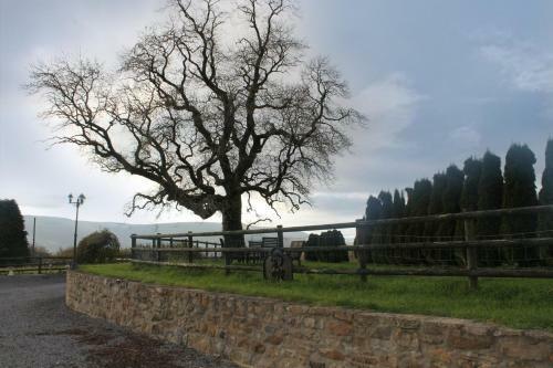 Farm Stay 3 Bedroom Barn Conversion With Log Burner