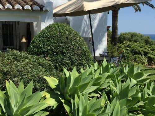 Bed & Breakfast Casa Bahia De Casares