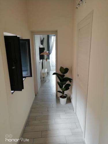 Apartamento Casa Musco