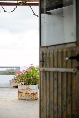 Saveriako, Paradise For Relaxed Free Spirits