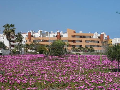 Apartamento El Rincon Getaway Playa Flameneca