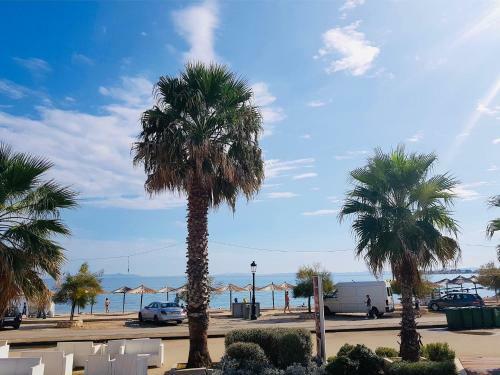 Apartamentos Vir Holidays