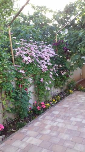 Studio Apartman Giardino