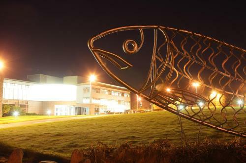 Causeway Holiday Homes - The Mallow