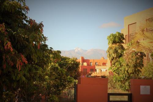 Apartamento El M�dano. La Tejita Paradise.