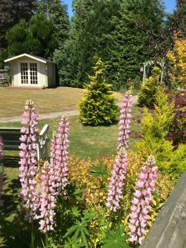 Westwood Cottage
