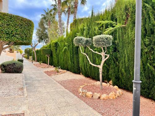 Apartamento Jumilla III Playa Flamenca