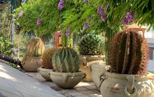 Apartamento Terrazza Pavone