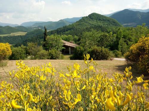 Apartamento Ca' Tofano