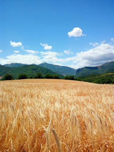 Apartamento Ca' Tofano