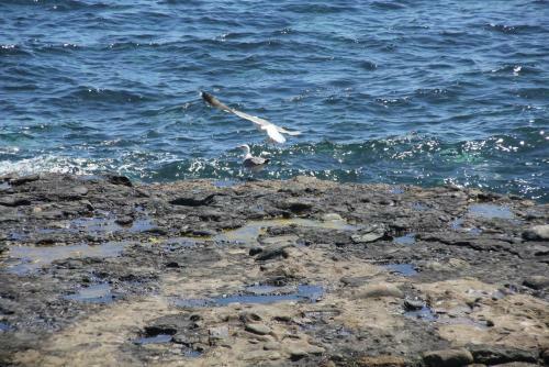 Bed & Breakfast Pozo Gaviota