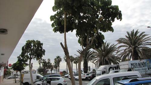 Bed & Breakfast Guesthouse Ca'art�