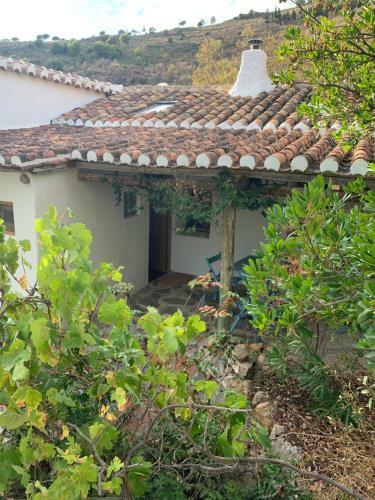 La Pe�a Cortijo