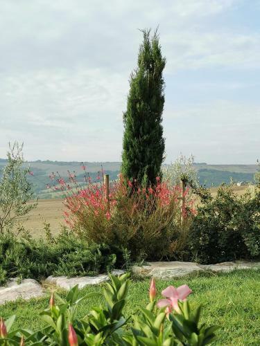 Bed & Breakfast Le Logge Ritrovate