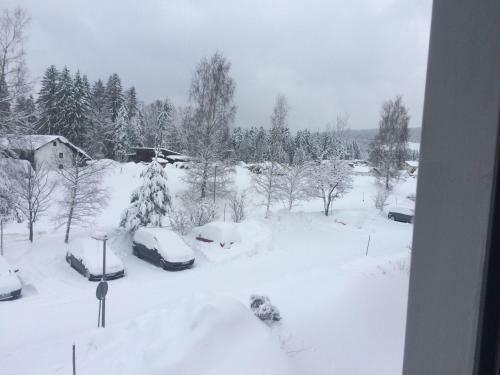 Apartamento Ferienwohnung-koehler-2