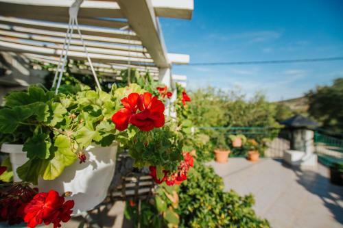 Country House Rusula