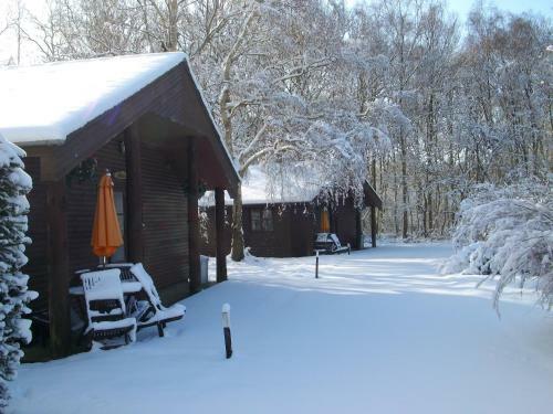 Eversleigh Woodland Lodges