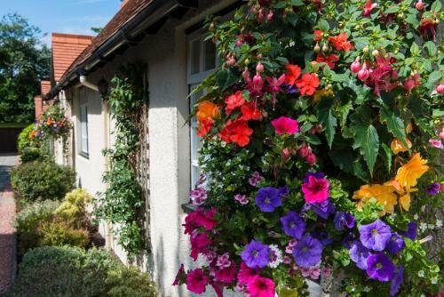 Piersland House Hotel
