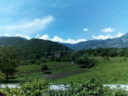 Agroturismo Studio And Winery Kalimut