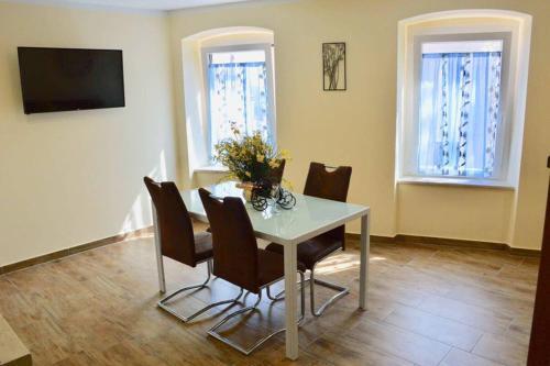 Old Town Apartment Popovic