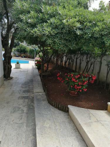 Apartamento Ferienhaus Bozena Appartment 6