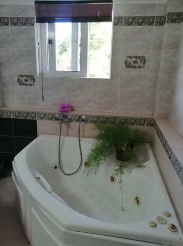 Apartamento Sea Side Villa Alexandra